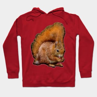 squirrangle Hoodie